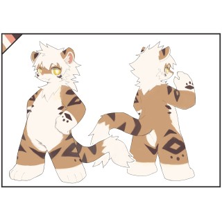 nameless(01305)